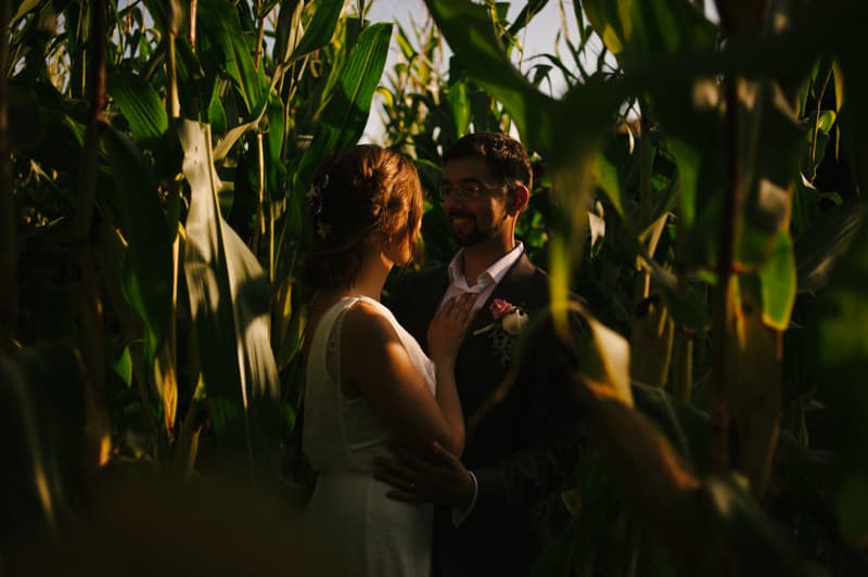 portraits in a corn field
