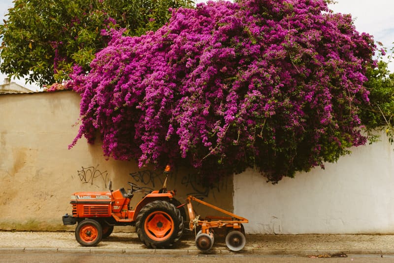 Our summer by Portugal wedding photographer Fotografamos 132