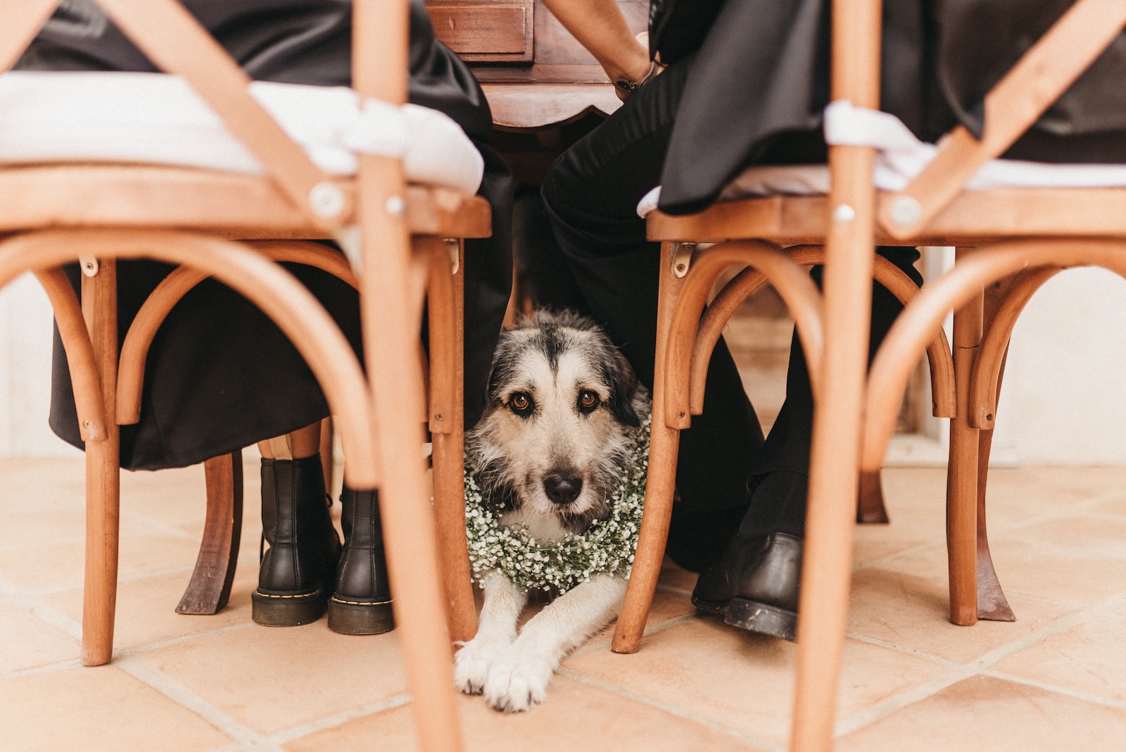 elopement photography