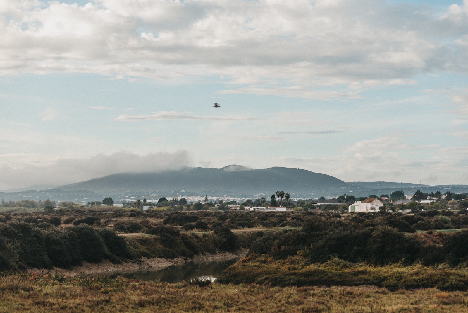 backyard elopement photographer