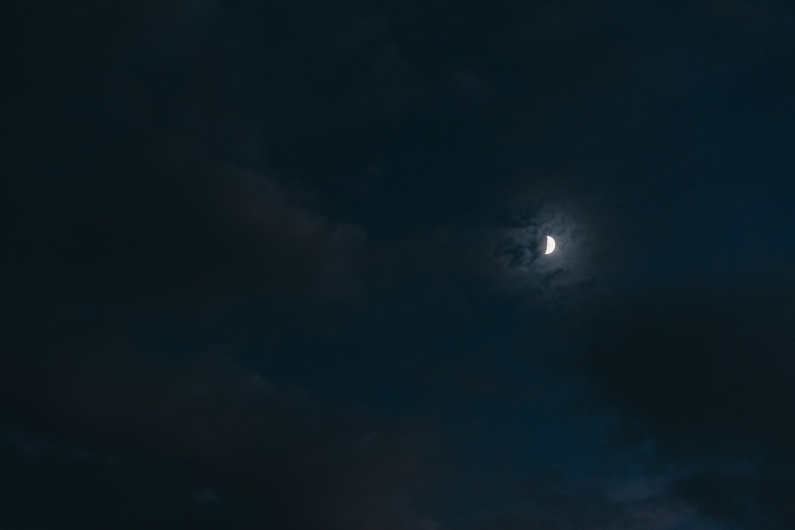 backyard elopement photographer